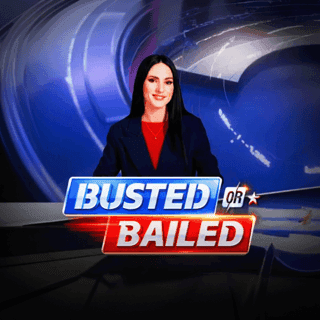 Busted or Bailed screenshot